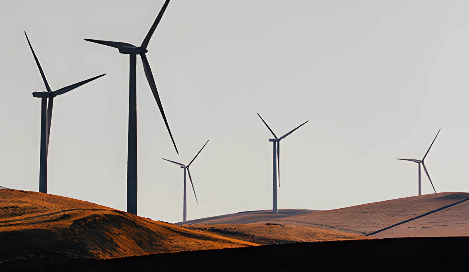 Wind turbines on bare hills in low sunlight, the ridge running the width of the frame under a pale sky.